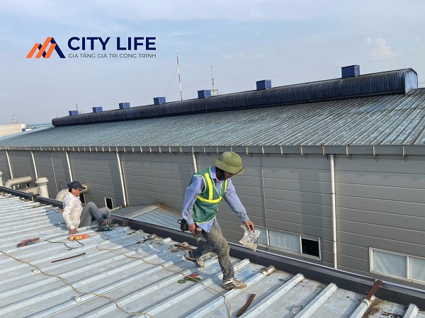 Kiểm tra mái tôn bị dột