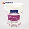 Sơn lót chống thấm, chống dột, cách nhiệt U110