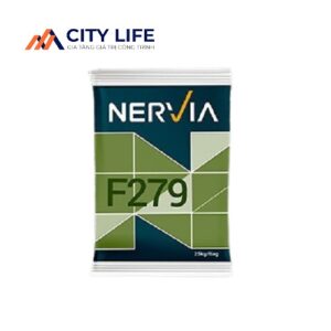 Vật liệu sửa chữa mặt nền F279 Nervia Taiwan